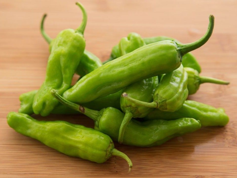 Organic Shishito Pepper