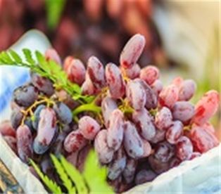 Moon Grapes