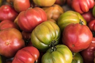 Organic Heirloom Tomatoes