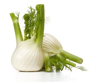 Fennel, Organic