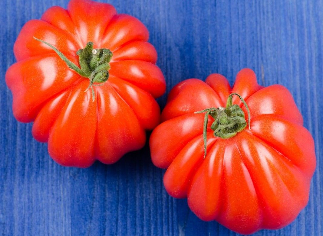 Eli & Ali Organic Beefsteak Tomatoes