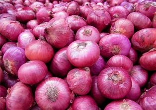 Organic Red Onions